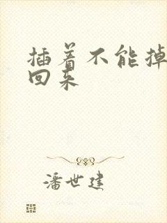 插着不能掉等我回来