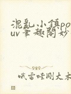 混乱小镇popuv笔趣阁妙妙