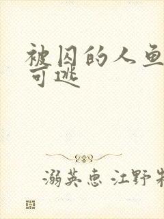 被囚的人鱼无处可逃