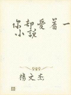 你却爱着一个他 小说