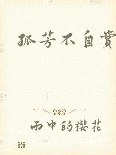 孤芳不自赏小说