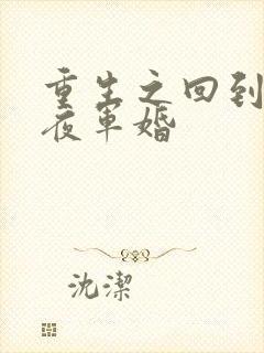 重生之回到新婚夜军婚