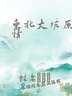 东北大坑原始激情