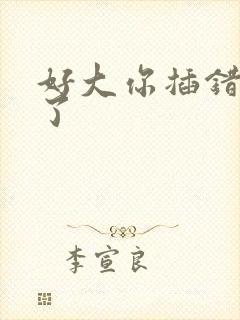 好大你插错地方了