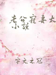 老公宠妻太甜蜜 小说