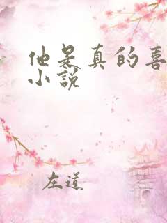 他是真的喜欢你小说