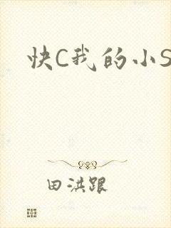 快C我的小SB