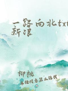一路向北txt新浪