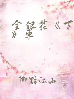 金银花《下厨房》车