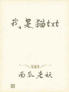 我是猫txt