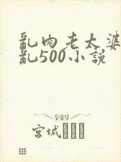 乱肉老太婆合集乱500小说