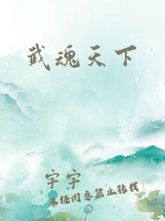 武魂天下