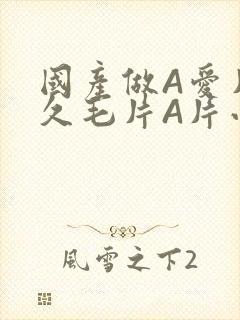 国产做A爱片久久毛片A片小说