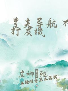 农夫导航 不准打灰机