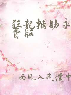 狂龙辅助永久免费版