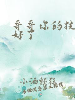 哥哥你的技术太好了