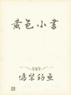 黄色小书