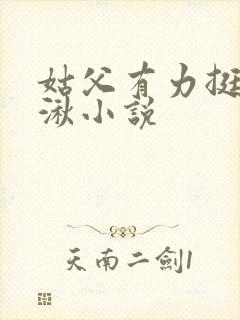 姑父有力挺送徐湫小说