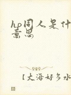 hp同人是什么意思