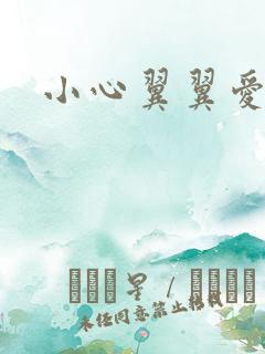 小心翼翼爱上你