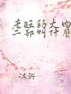 老旺的大肉蟒第二部叫什么小说