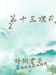 第十三次我爱你2