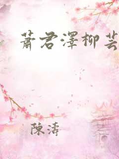 萧君泽柳芸小说