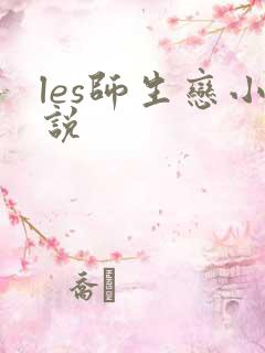 les师生恋小说