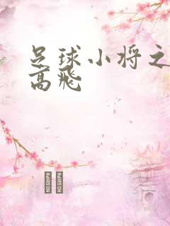 足球小将之展翅高飞