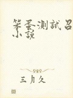 笨蛋测试召唤兽小说