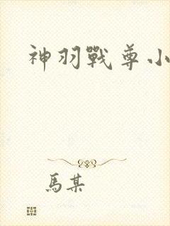 神羽战尊小说