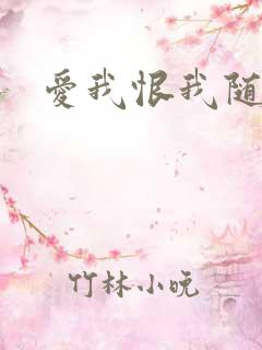 爱我恨我随便你