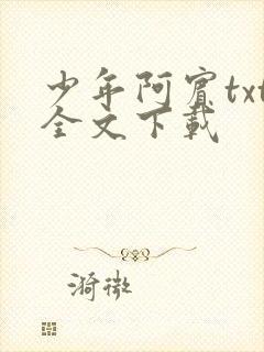 少年阿宾txt全文下载