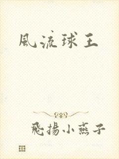风流球王