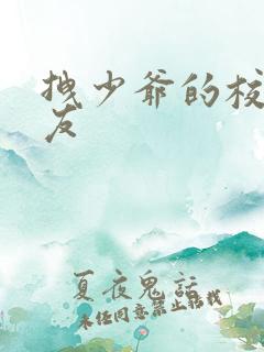 拽少爷的校花女友