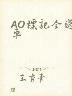 AO标记全过程车