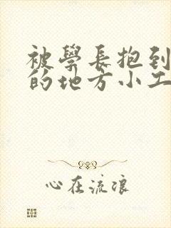 被学长抱到没人的地方小工具