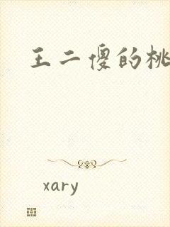 王二傻的桃花运