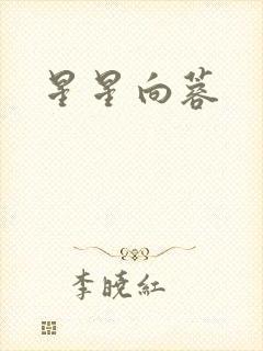 星星向蓉