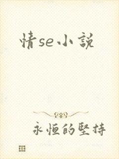 情se小说