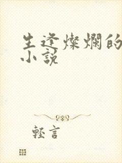 生逢灿烂的日子小说