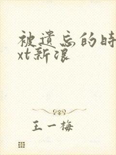 被遗忘的时光txt新浪