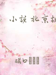 小说 北京故事