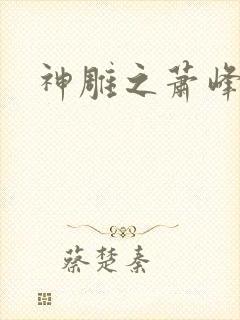 神雕之萧峰后人