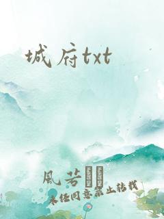城府txt