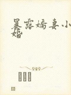 暴露娇妻小月新婚