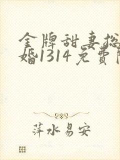 金牌甜妻总裁宠婚1314免费阅读