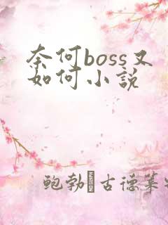 奈何boss又如何小说