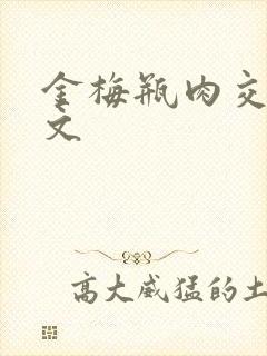 金梅瓶肉交白话文