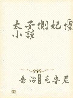 太子侧妃傻乎乎小说